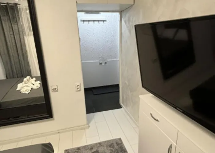 Classic Np 노비파자르